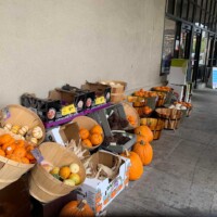 近所のスターバックス前。撮影したときはハロウィンの飾りつけをしていました。