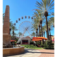 ショッピングに出かけた様子