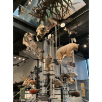 シアトルでワシントン大学を訪れた時の写真