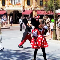 ディズニーランドパークの様子