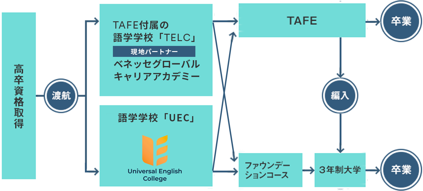 オーストラリアの進学ルート