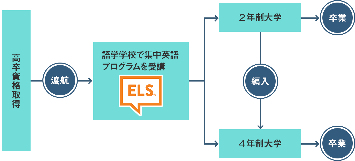 アメリカの進学ルート